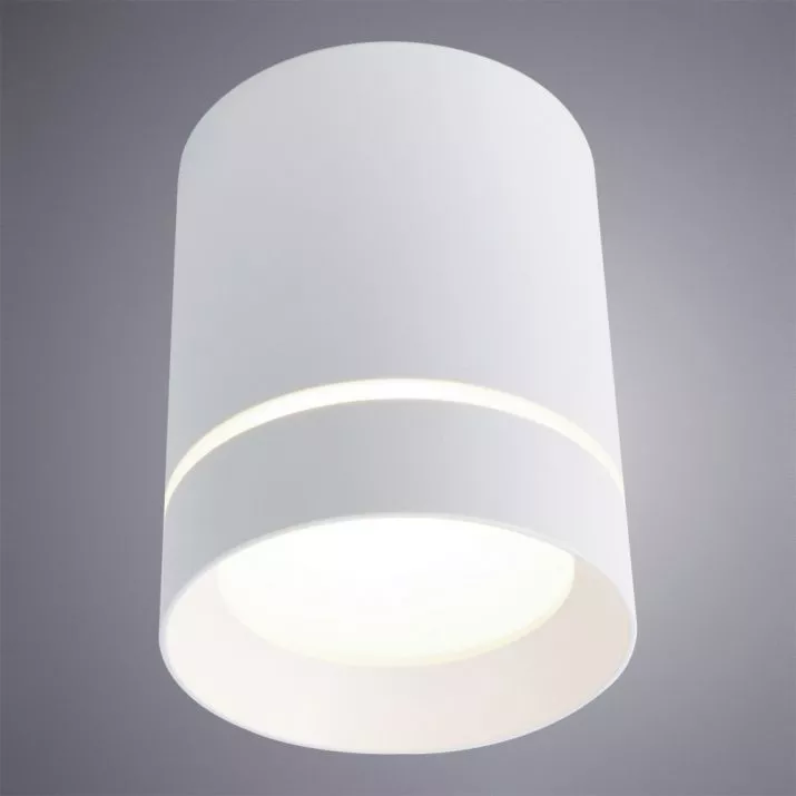 Потолочный светильник Arte Lamp ELLE A1949PL-1WH