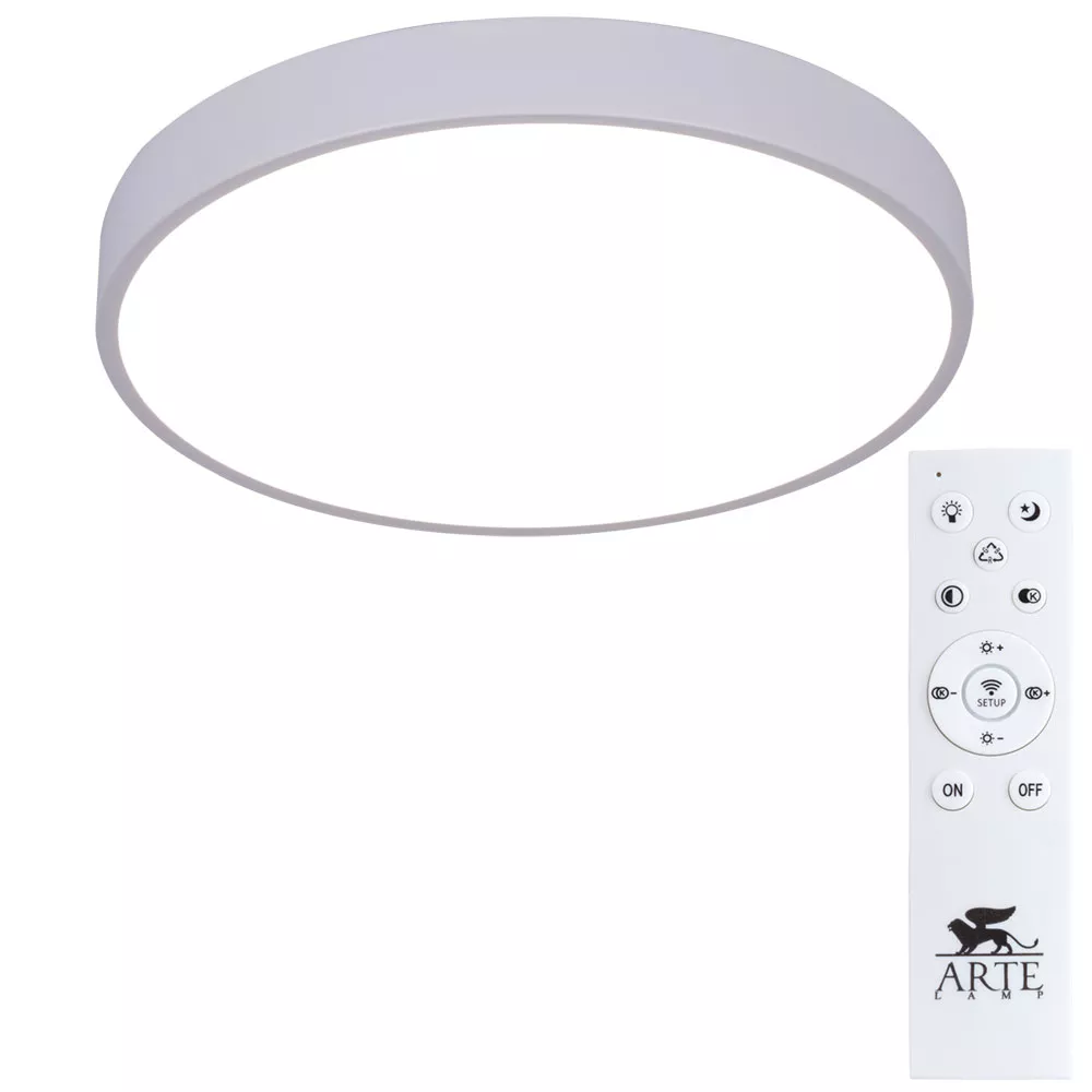 Потолочный светильник Arte Lamp ARENA A2661PL-1WH