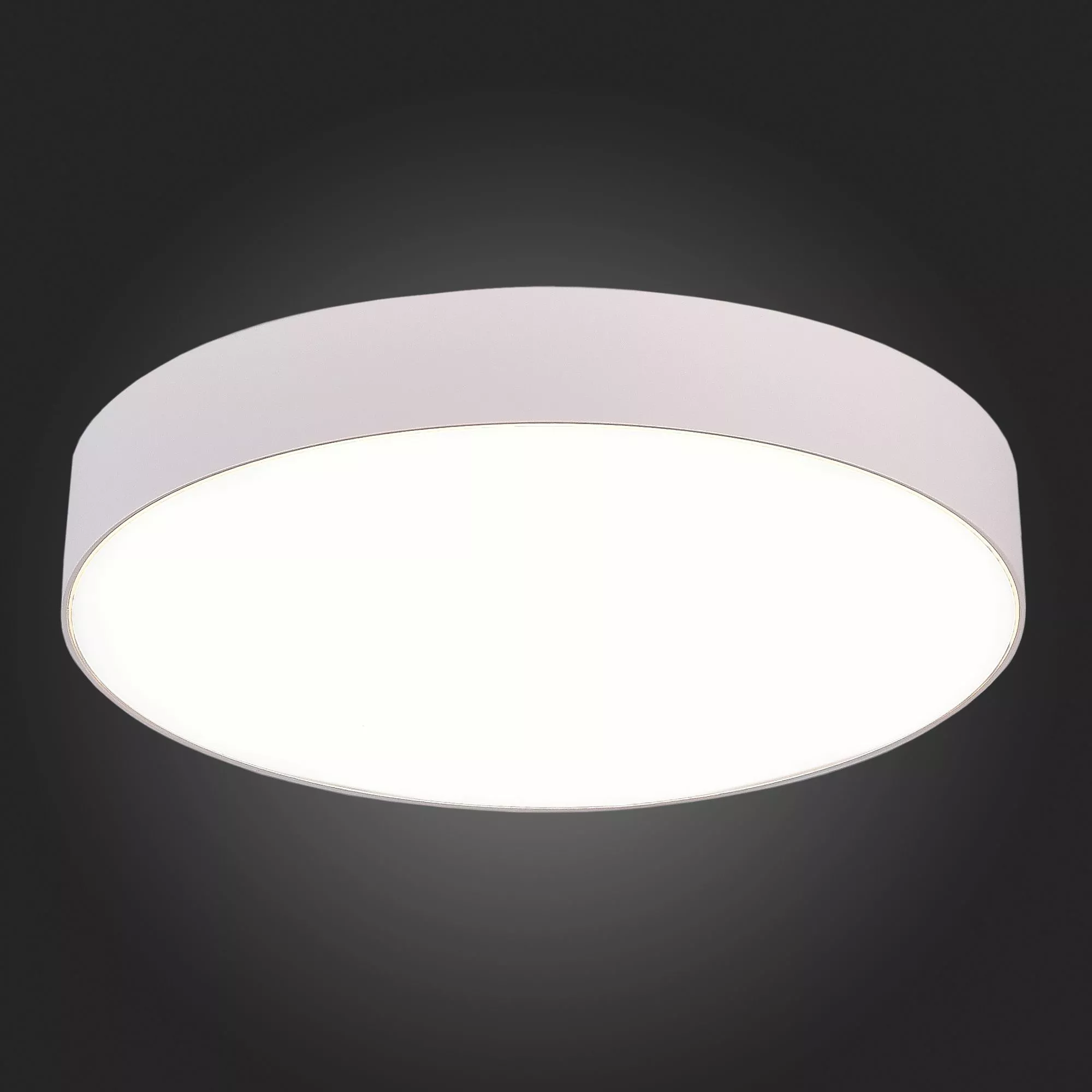 Потолочный светильник Белый LED 185-265V St Luce ST606.542.48
