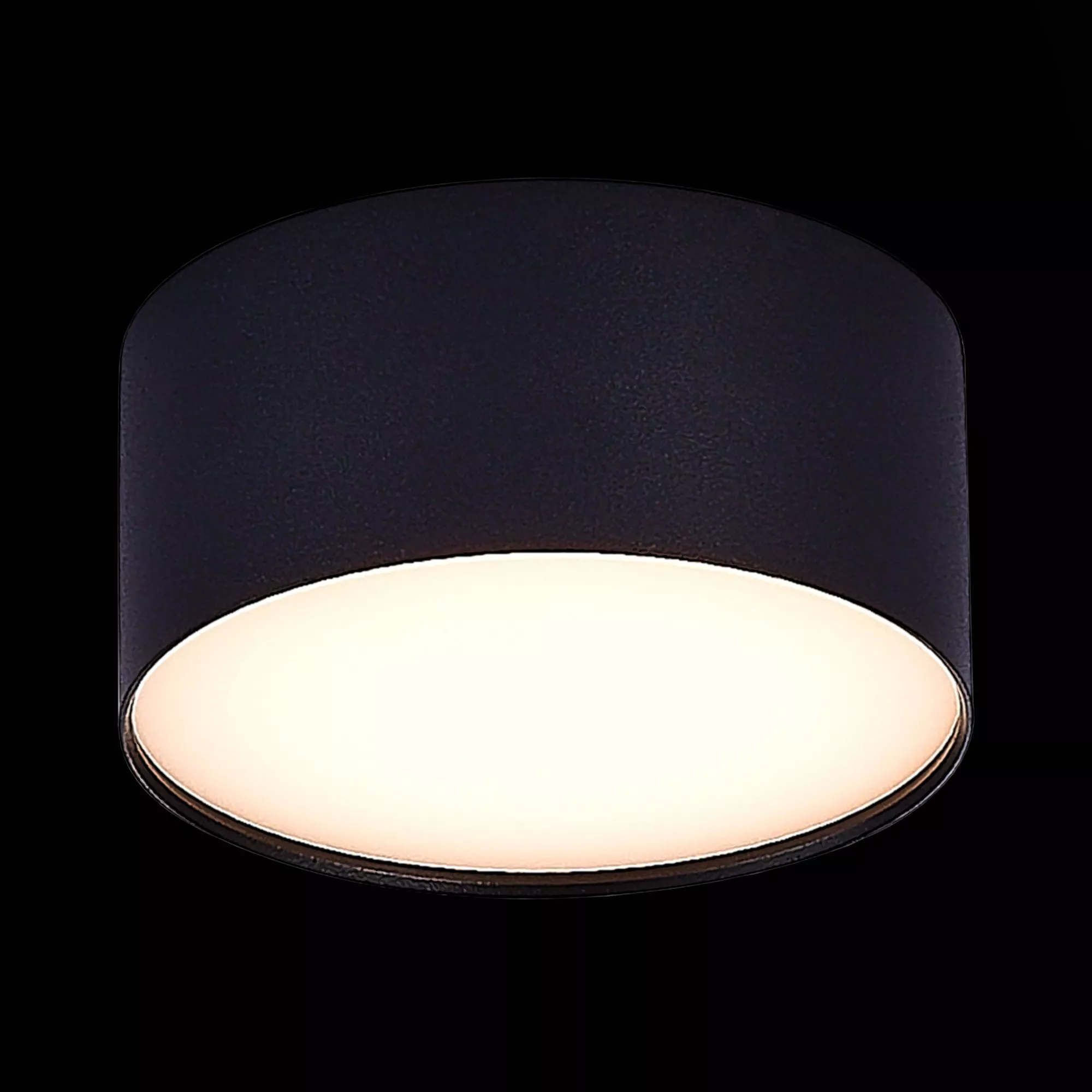 Потолочный светильник Черный LED 185-265V St Luce ST606.432.12