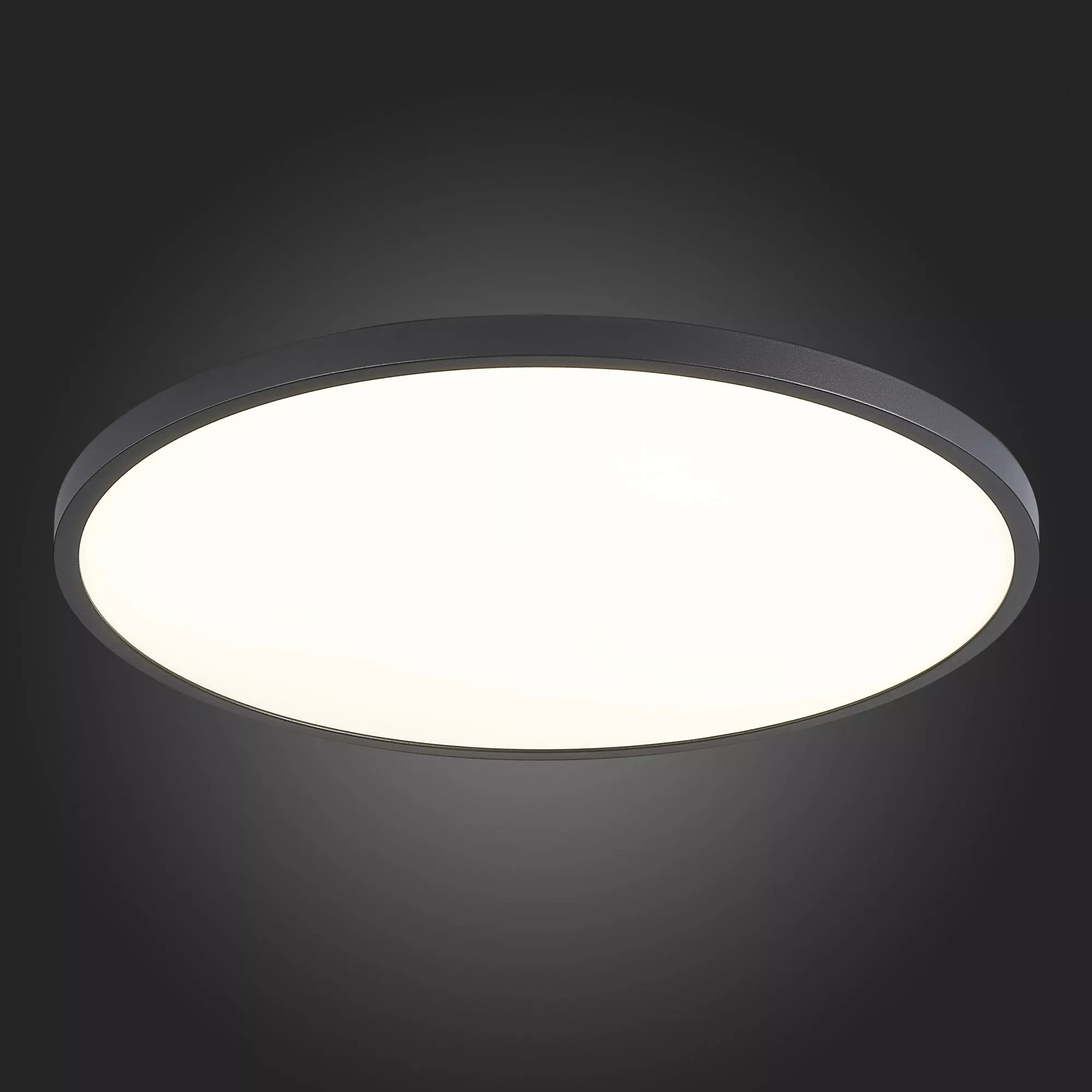 Настенно-потолочный светильник ST LUCE ST601.442.48