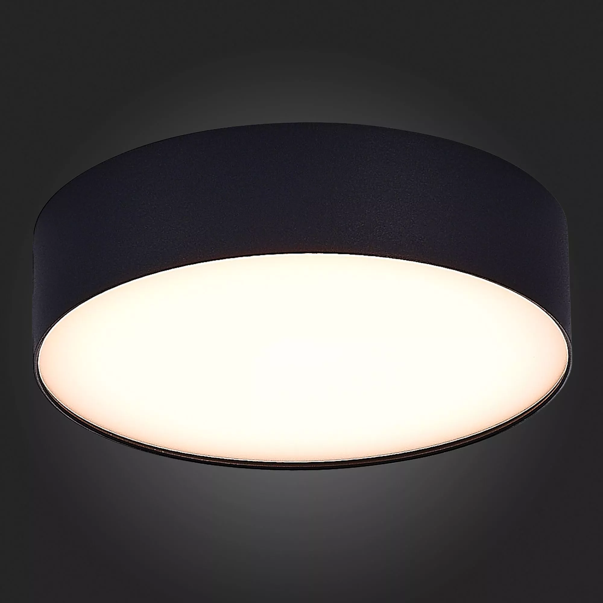 Потолочный светильник Черный LED 185-265V St Luce ST606.432.27