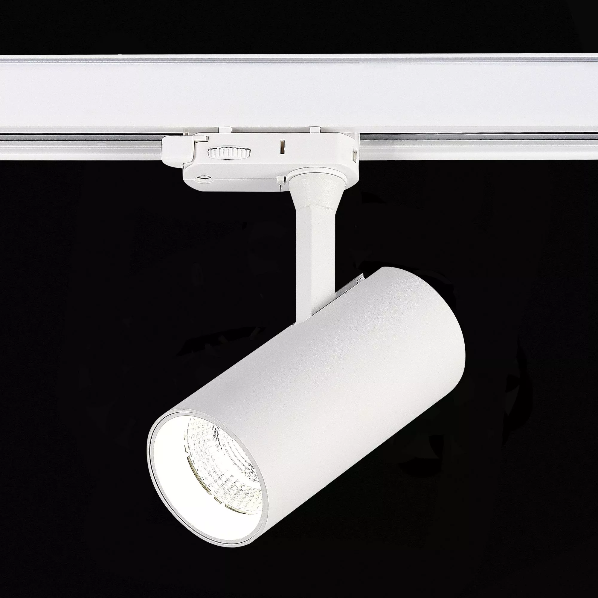 Трековый светильник Белый LED 165-265V St Luce ST661.546.10