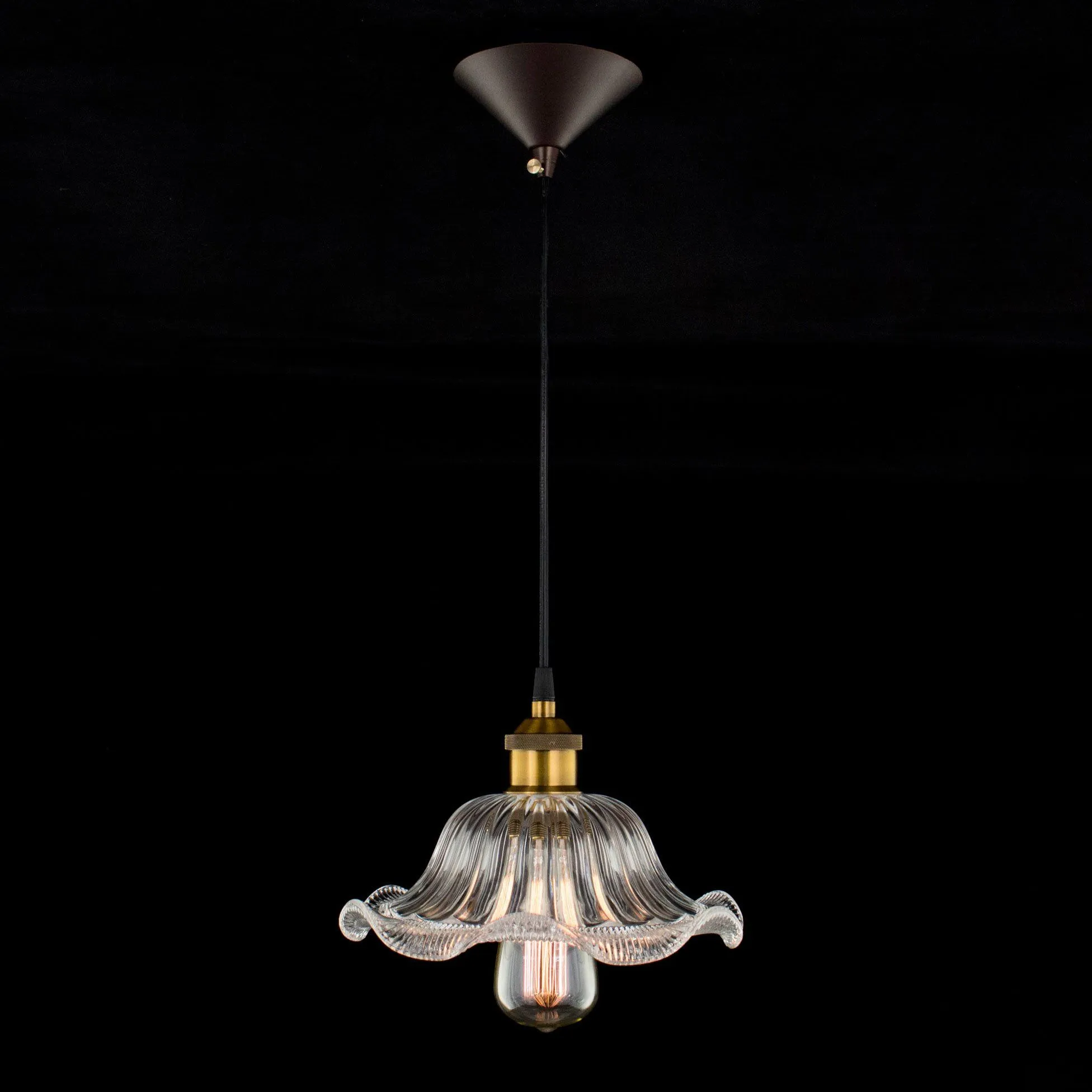 Потолочный подвесной светильник Эдисон 75 прозрачный Citilux CL450105