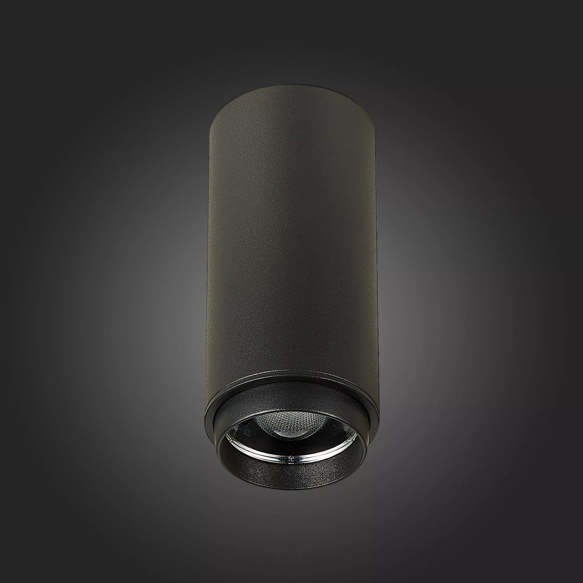 Точечный накладной светильник ST LUCE ZOOM ST600.442.10