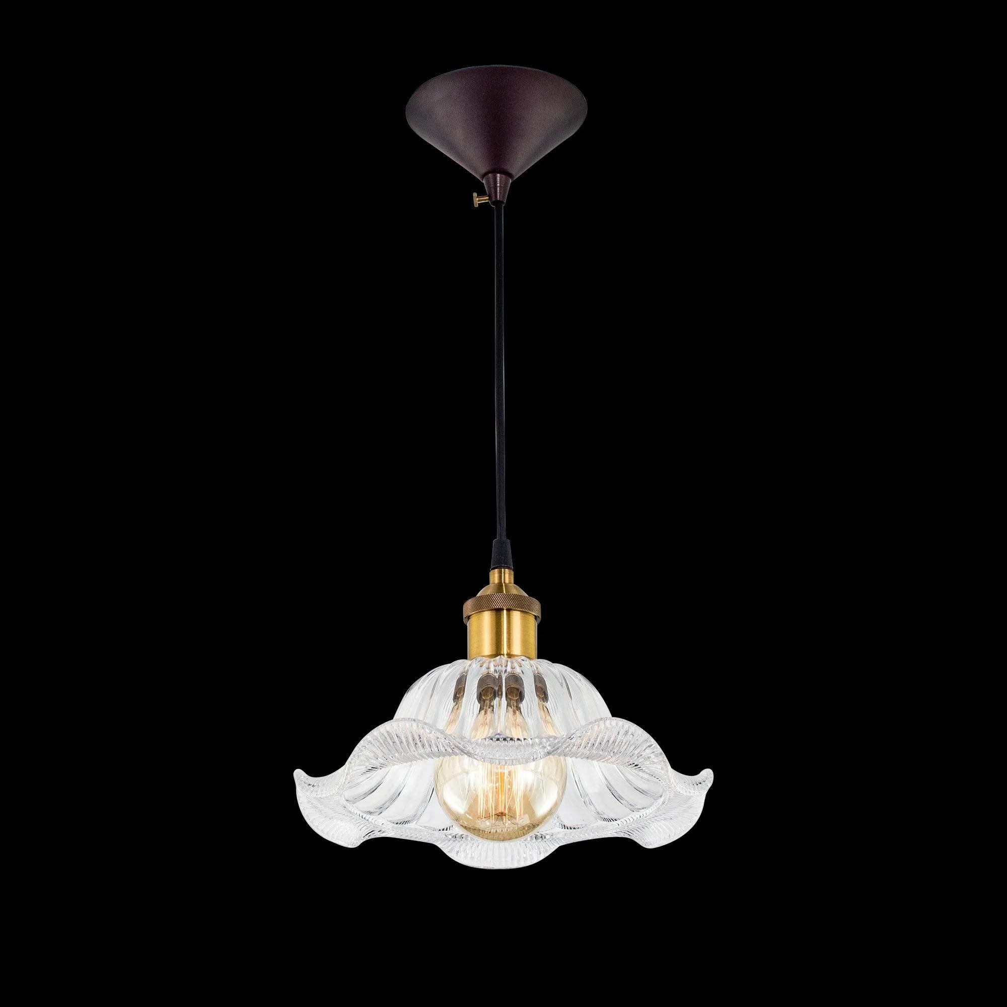 Потолочный подвесной светильник Эдисон 75 прозрачный Citilux CL450105