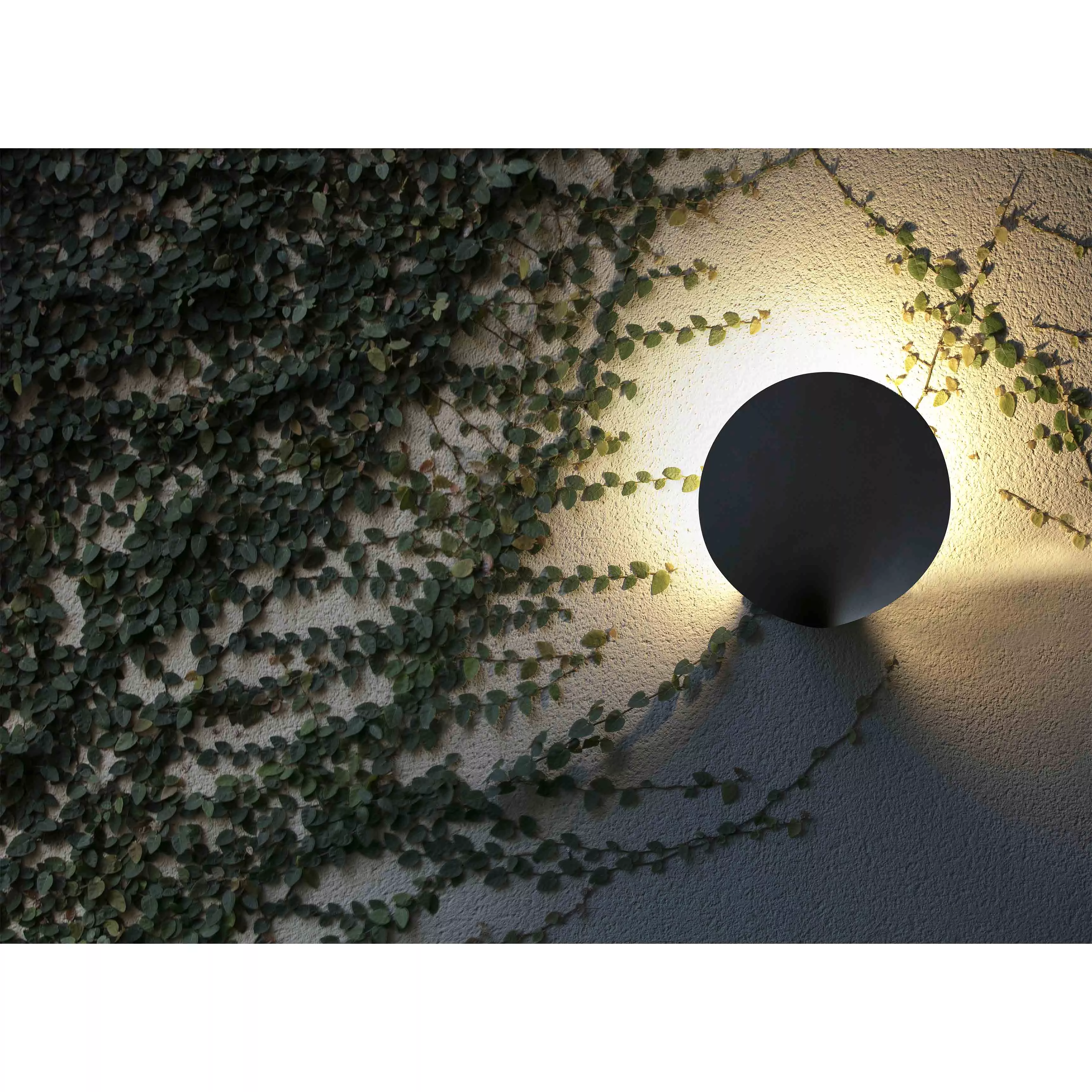 Уличный настенный светильник LOTUS Faro темно-серый 71223