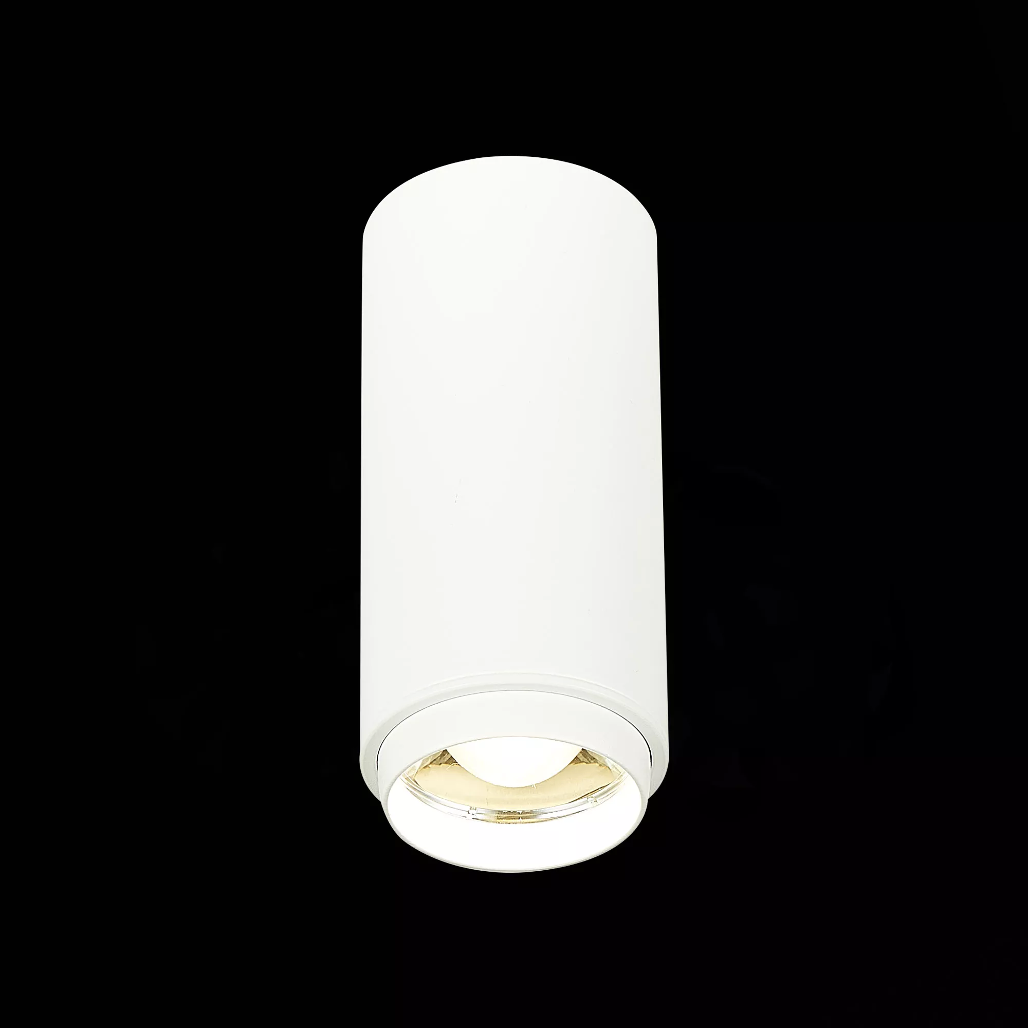 Точечный накладной светильник ST LUCE ZOOM ST600.542.10