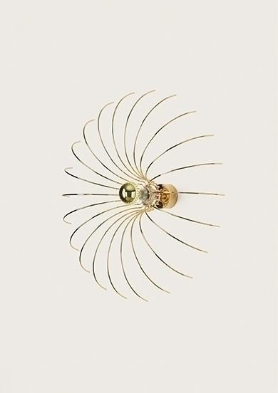 Бра Aromas del Campo Spider 091667