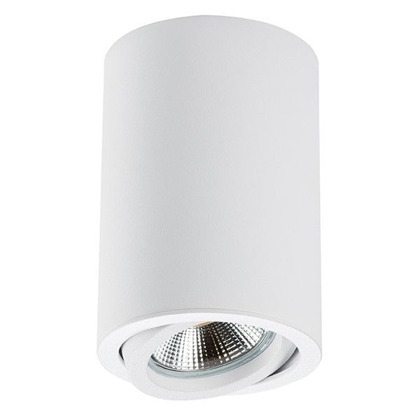 Точечный накладной светильник Lightstar RULLO 214406