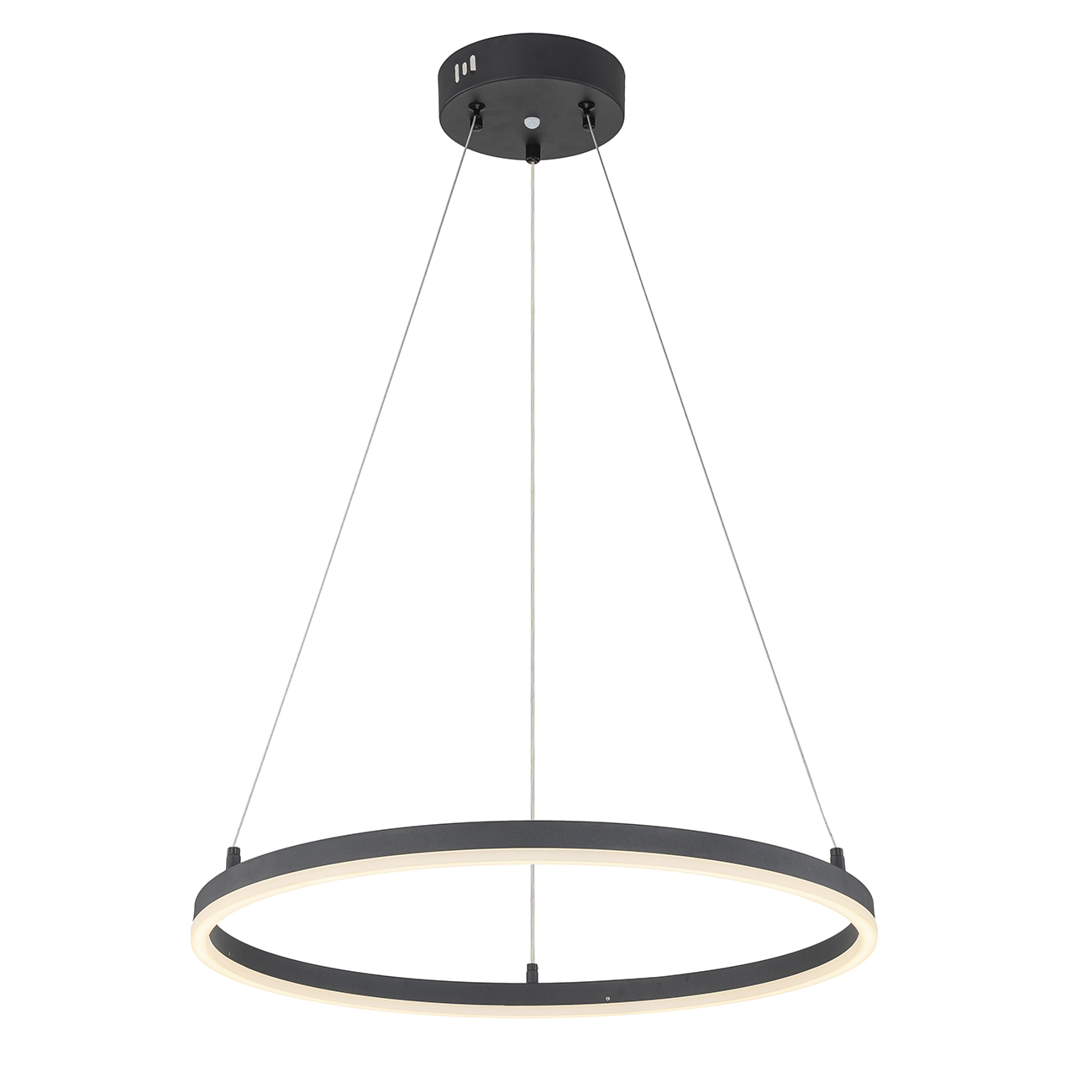 Подвесная люстра ESCADA VOID 10254/1LED Black APP