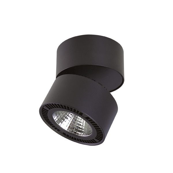 Точечный встраиваемый светильник Lightstar FORTE MURO 213817