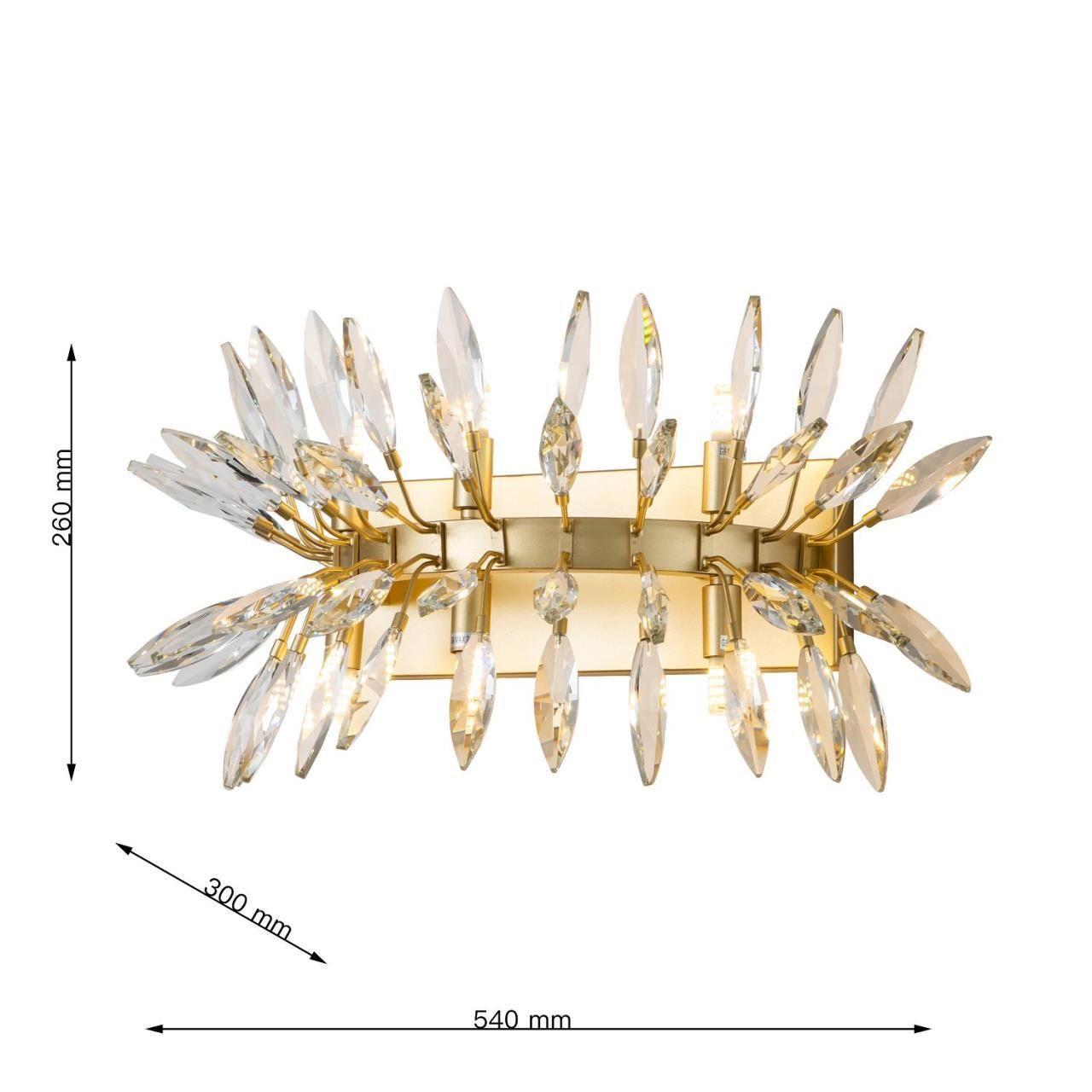 Бра Favourite Rays 4058-6W