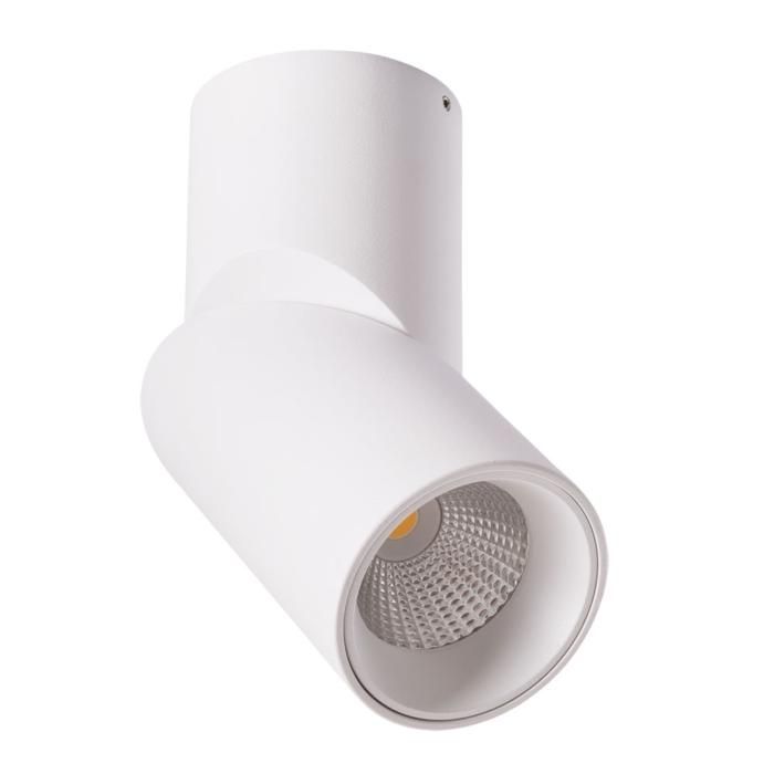 Точечный накладной светильник Arte Lamp MEISU A7717PL-1WH