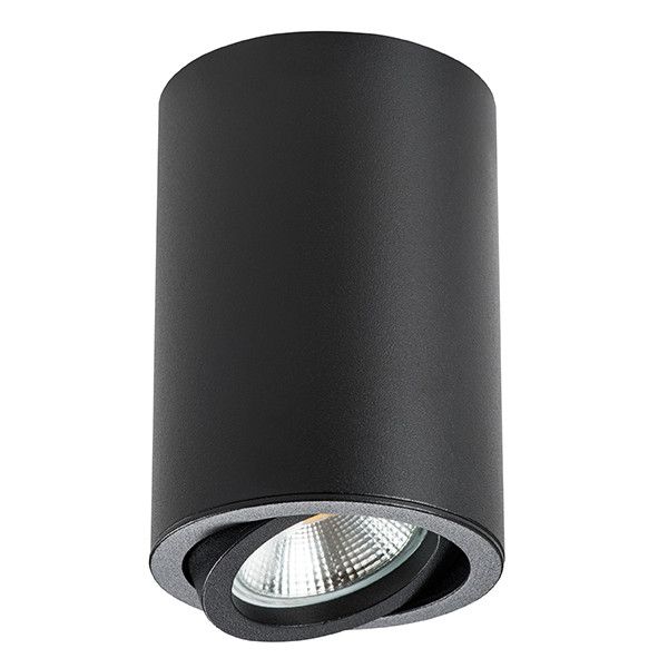Точечный накладной светильник Lightstar RULLO 214407
