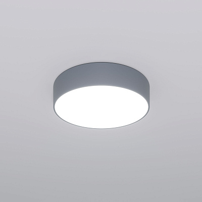 Потолочный светильник Eurosvet Entire 90318/1 серый