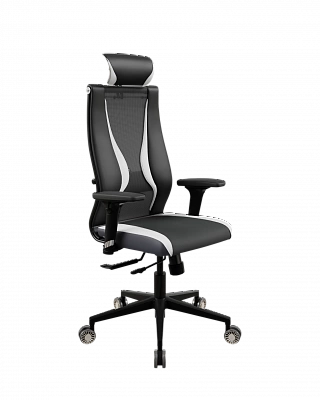 Офисное кресло Метта ErgoLife SynchroSit 10 B2-170D-Italy+UMF(SY271)+Extra/Kb38/Wh09/D02P/H13mL-Pf-1DF(M18.B11.G19.W31)