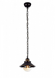 Светильник подвесной Arte Lamp Grazioso A4577SP-1CK