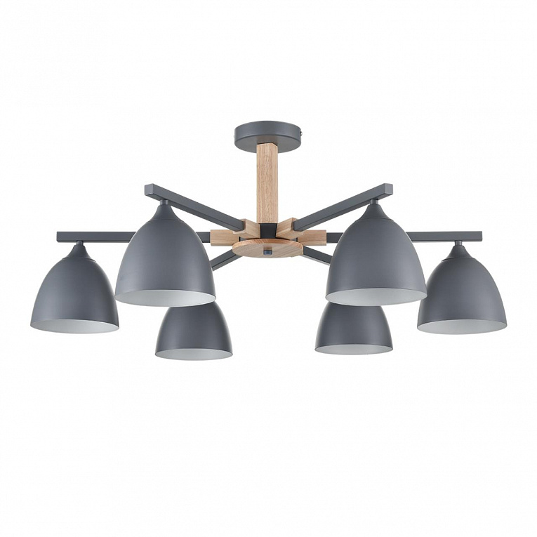Люстра на штанге LUMION COLANGE 8096/6C