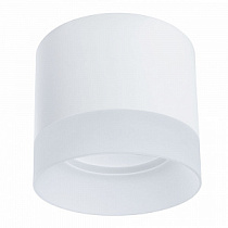 Потолочный светильник Arte Lamp CASTOR A5554PL-1WH