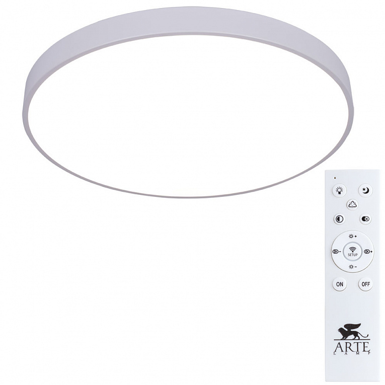 Потолочный светильник Arte Lamp ARENA A2671PL-1WH