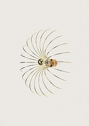 Бра Aromas del Campo Spider 091667