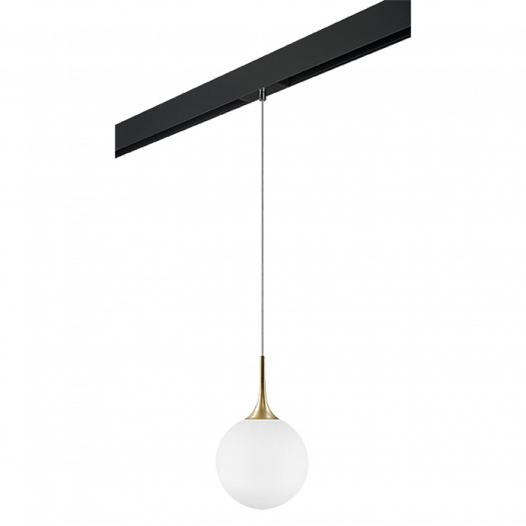Комплект с подвесом для трека PRO Lightstar Globo PRO813032
