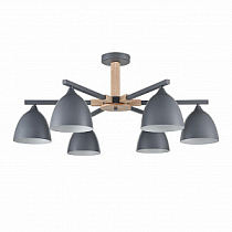 Люстра на штанге LUMION COLANGE 8096/6C