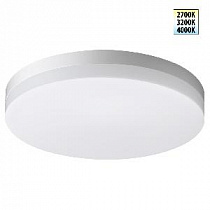 Уличный потолочный светильник NOVOTECH OPAL 359728