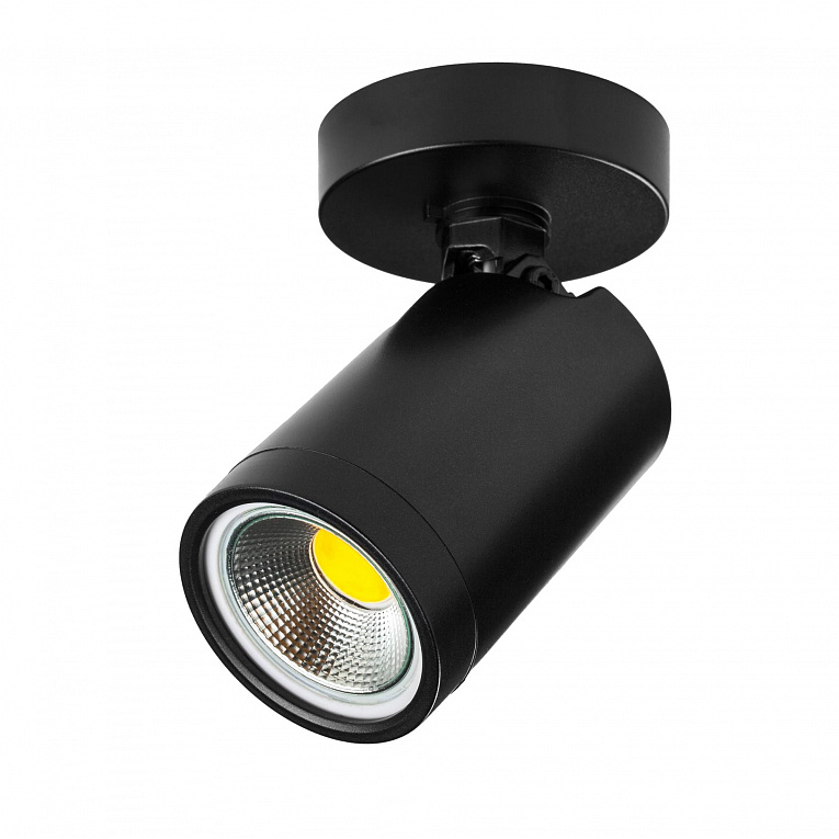 Спот потолочный Lightstar Rullo 213407