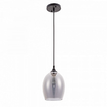 Подвесной светильник Arte Lamp PROPUS A4344SP-1BK
