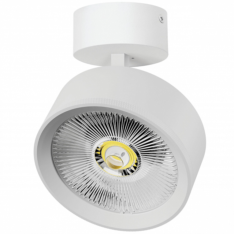 Спот потолочный Lightstar Alta Pro A5746SO