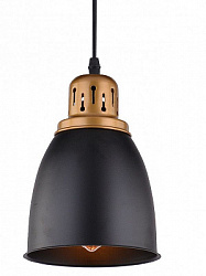 Светильник подвесной Arte Lamp Eurica A4248SP-1BK