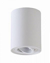 Потолочный светильник Crystal Lux CLT 410C1 WH