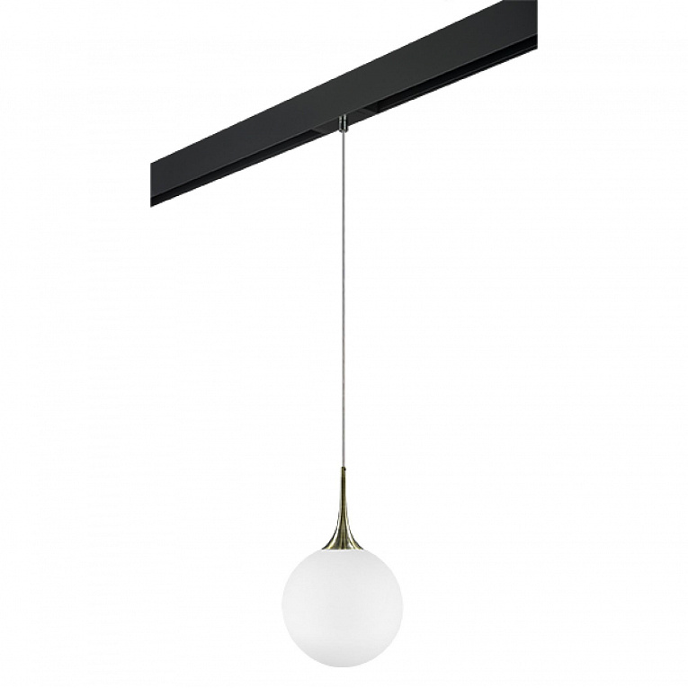 Комплект с подвесом для трека PRO Lightstar Globo PRO813031