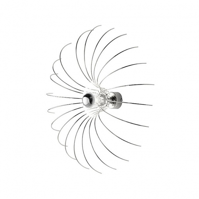 Бра Aromas del Campo Spider 091673