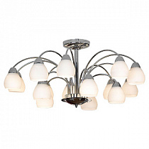 Люстра на штанге LUSSOLE APIRO LSF-2403-15